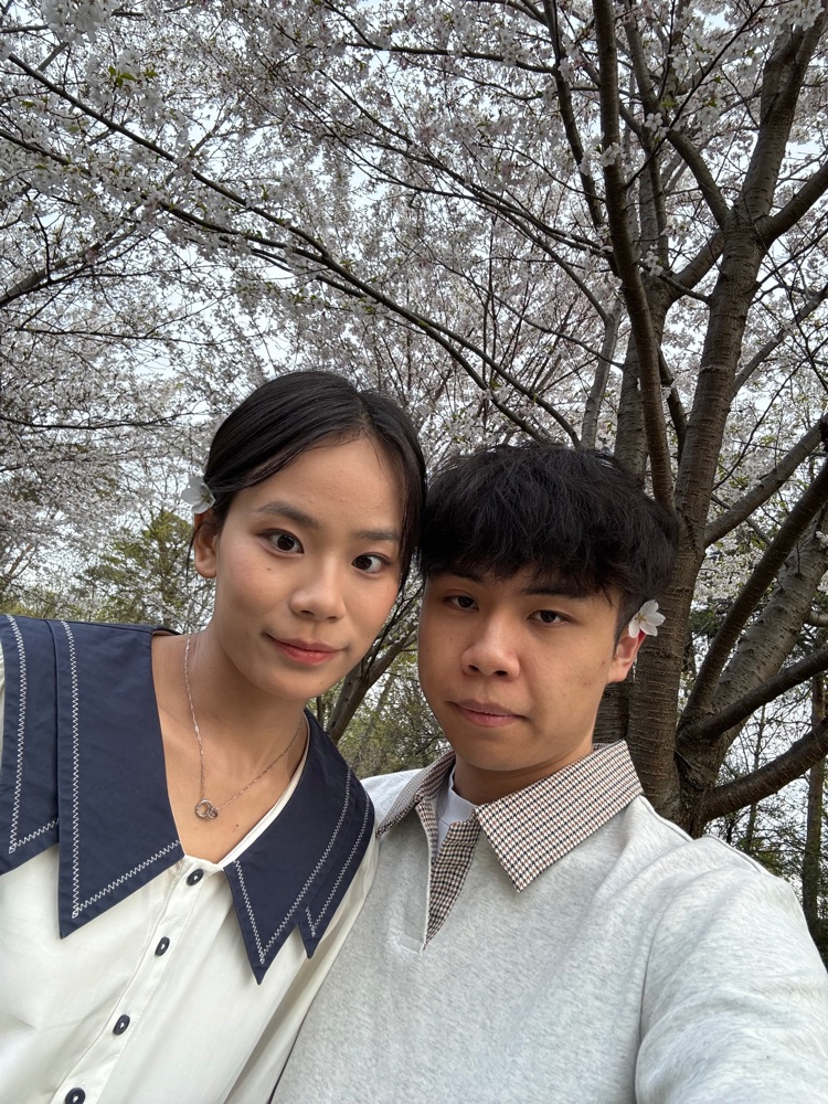 一起看樱花